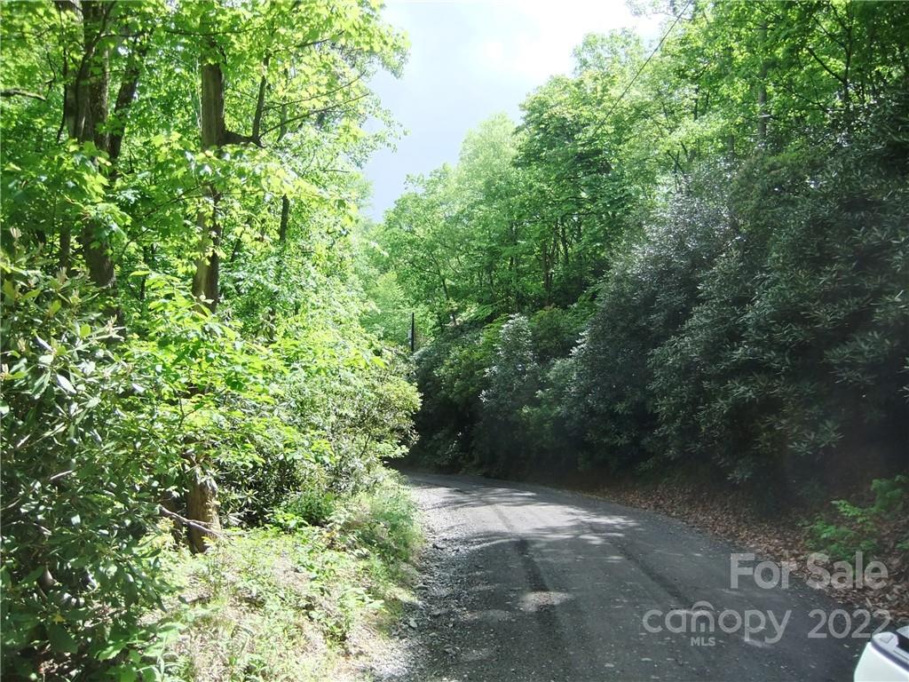 5 Old Mill Road Hendersonville, NC 28792 - Photo 6 of 35 a view of a yard