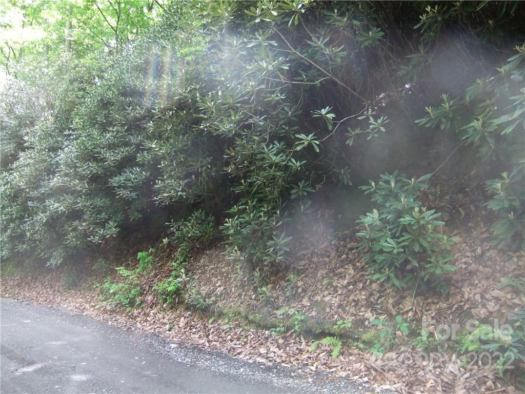 5 Old Mill Road Hendersonville, NC 28792 - Photo 7 of 35 a view of a forest that has a tree