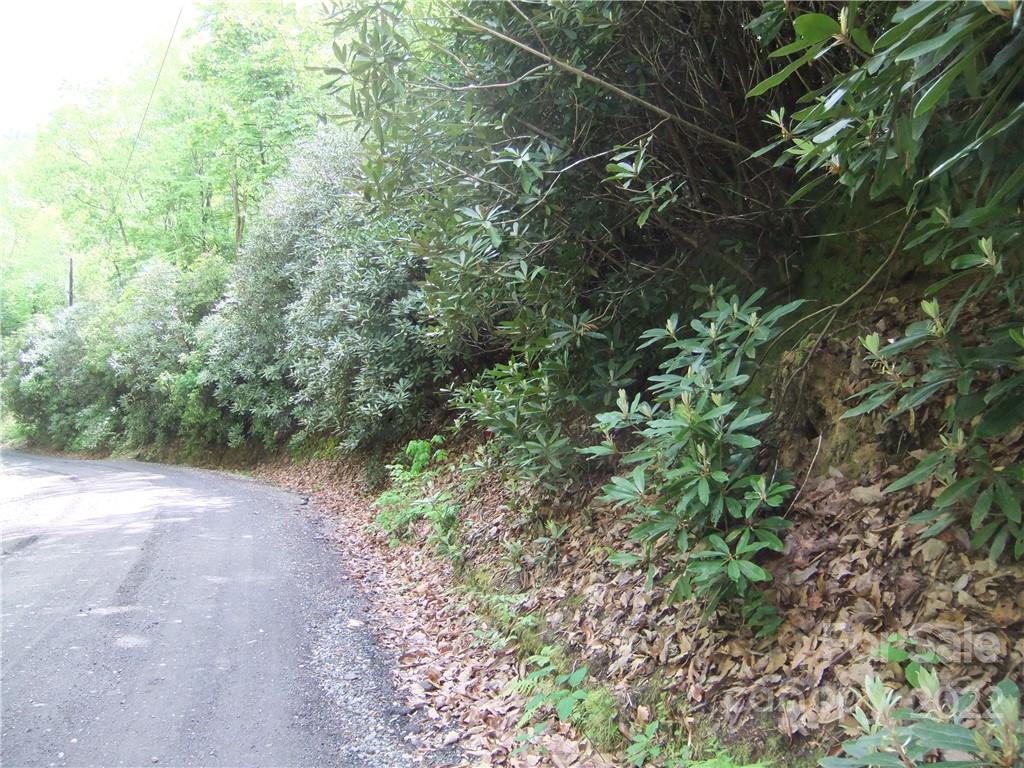5 Old Mill Road Hendersonville, NC 28792 - Photo 8 of 35 a view of a yard with plants and a tree