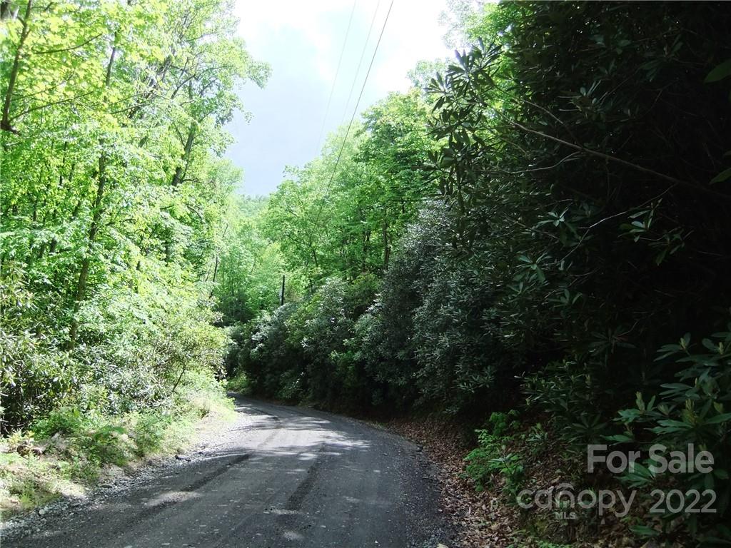 5 Old Mill Road Hendersonville, NC 28792 - Photo 10 of 35 a view of path and trees