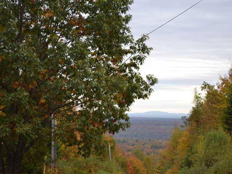 9 Finson Road St. Albans, ME 04971 - Photo 1 of 5 View. View from the neighbor s spot.
