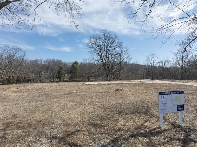 a view of dirt yard with a large tree