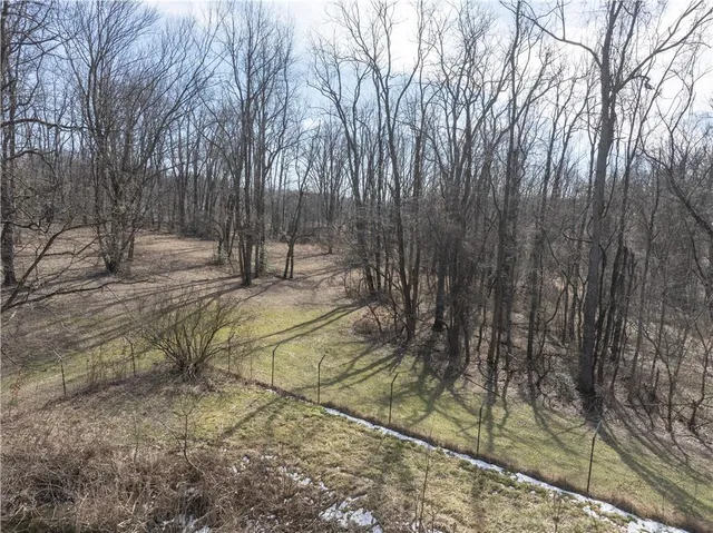 a view of dirt yard with a large tree