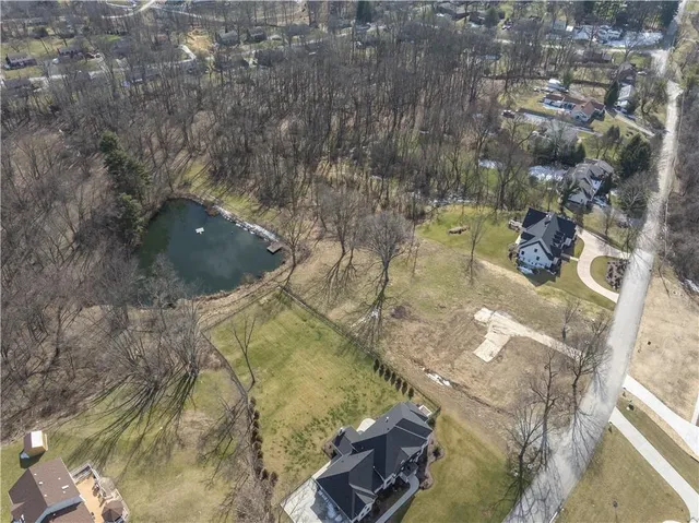 a view of a yard with trees
