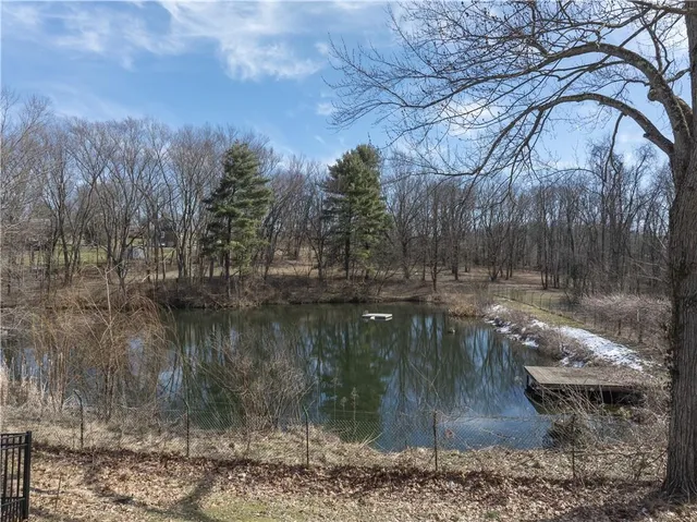 a view of a yard with a tree