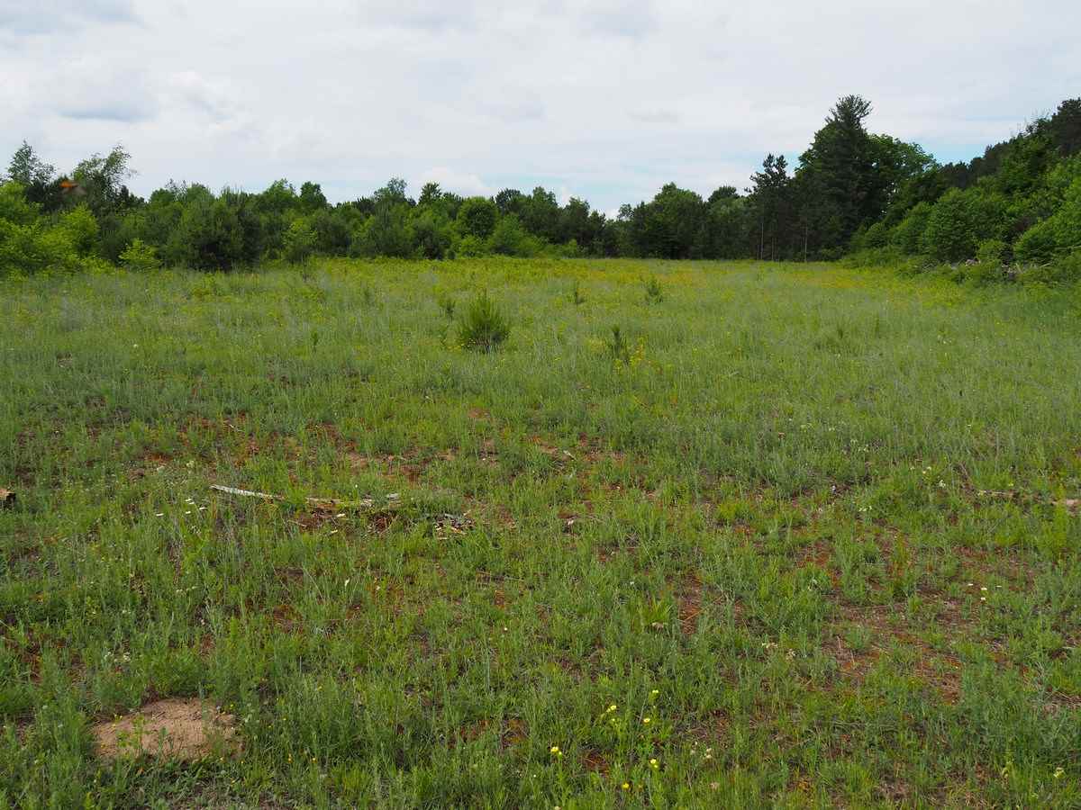 669 Rd Thompsonville Mi 49683 Road Beulah, MI 49617 - Photo 16 of 17