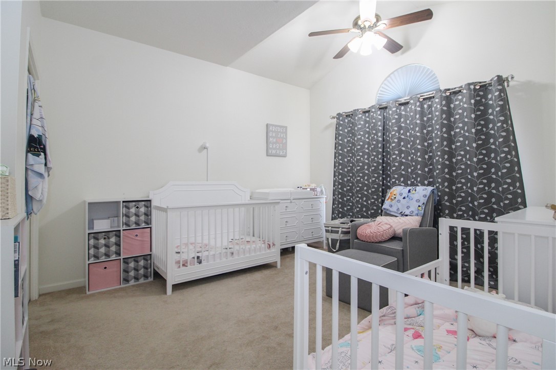 276 Wilcox Road Youngstown, OH 44515 - Photo 19 of 37 Gallery Image 19