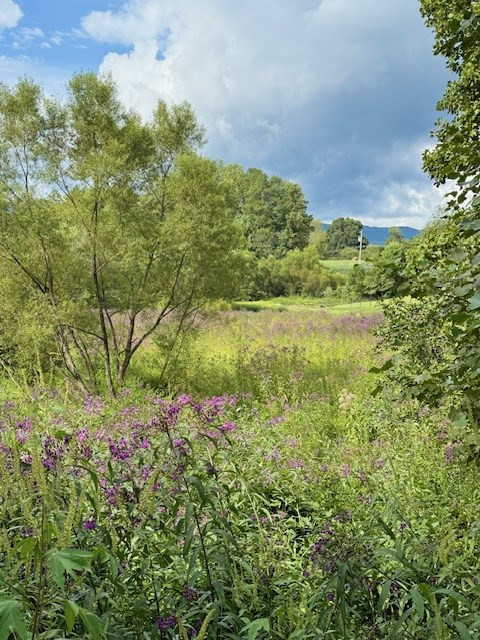 0 Fairview Road Andrews, NC 28901 - Photo 21 of 26 Gallery Image 21