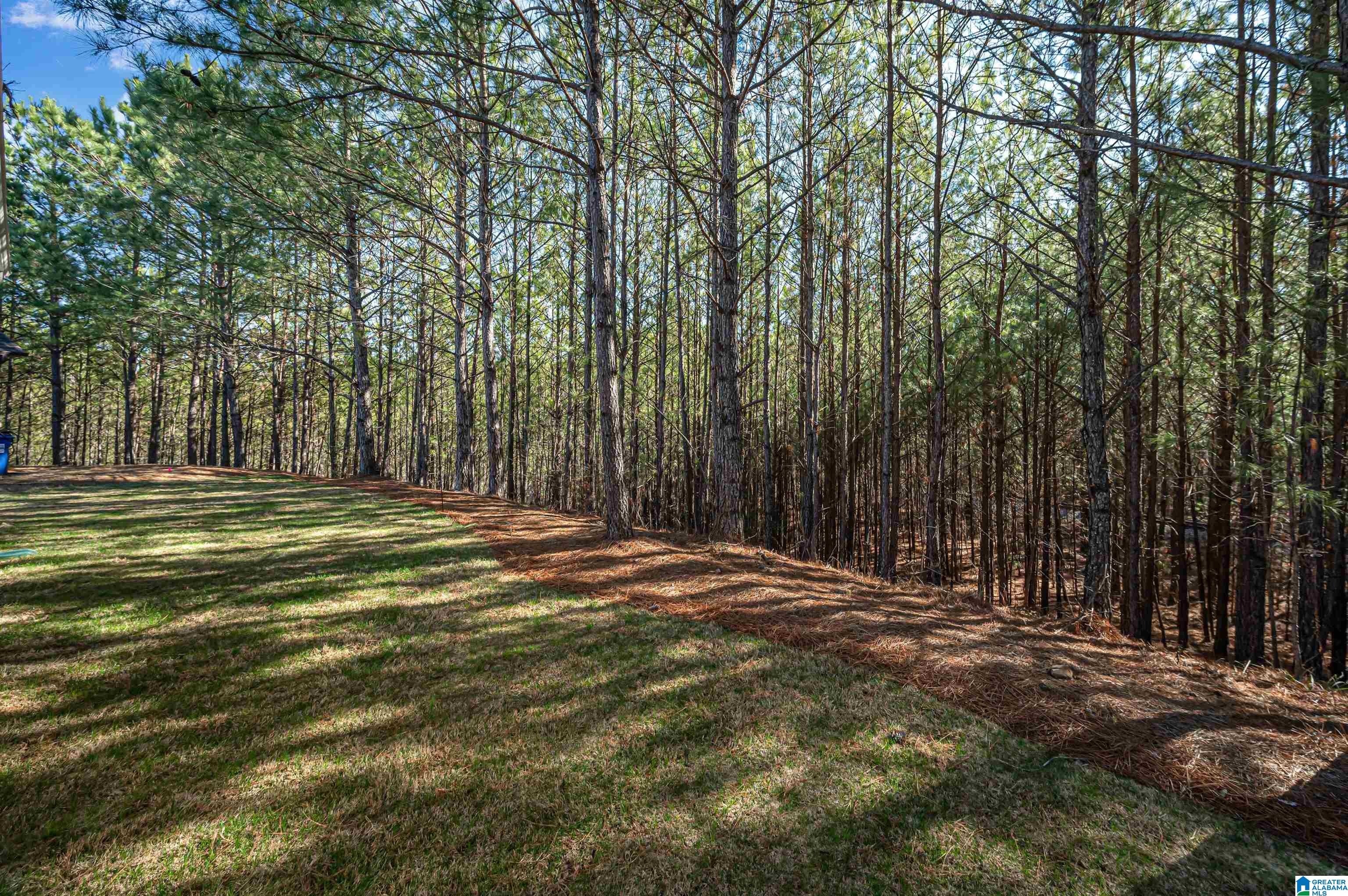 4940 Hawthorne Place Chelsea, AL 35043 - Photo 42 of 45