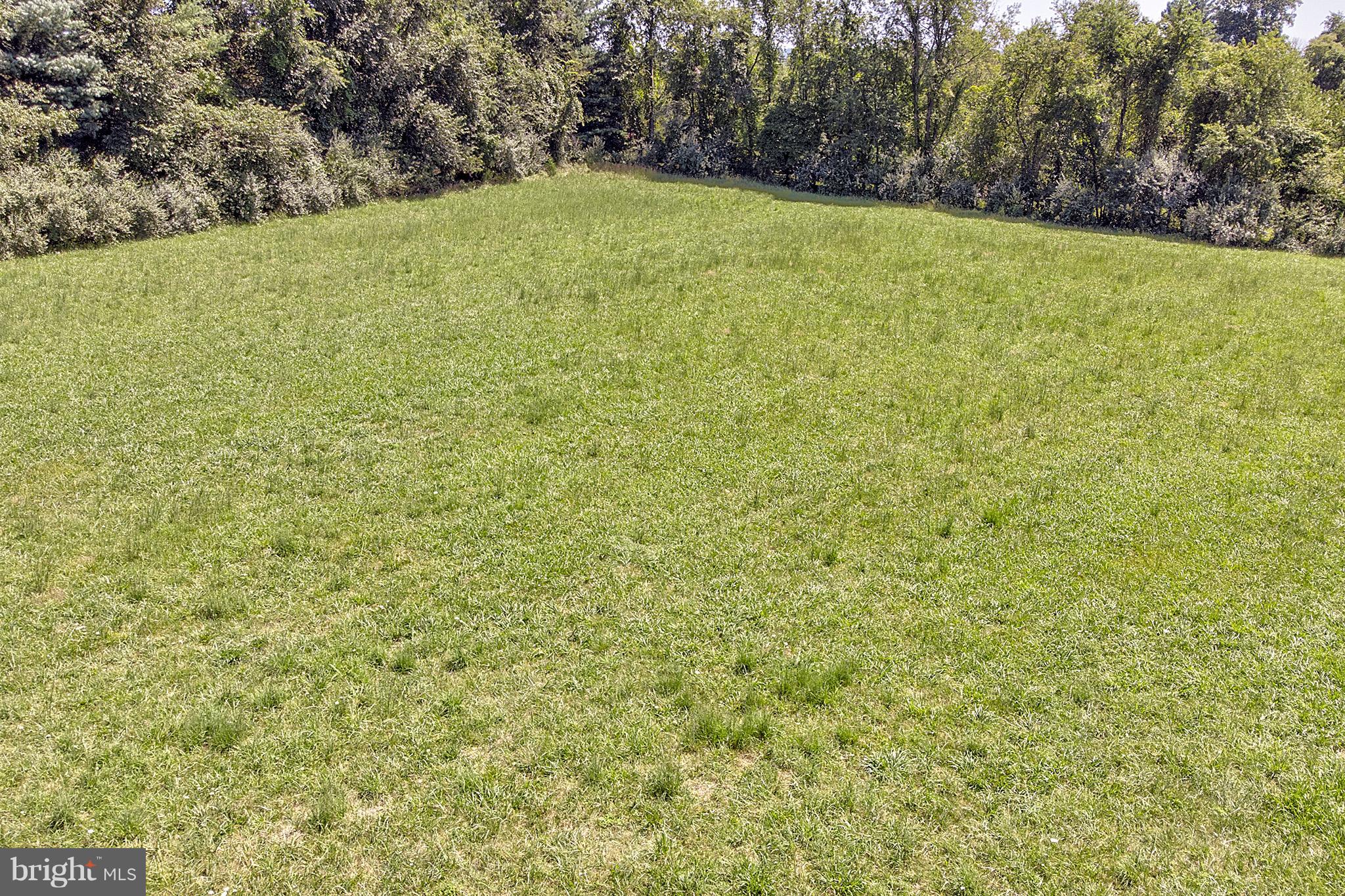 0 Milltown Road Waterford, VA 20197 - Photo 2 of 12 Eastern back corner of property