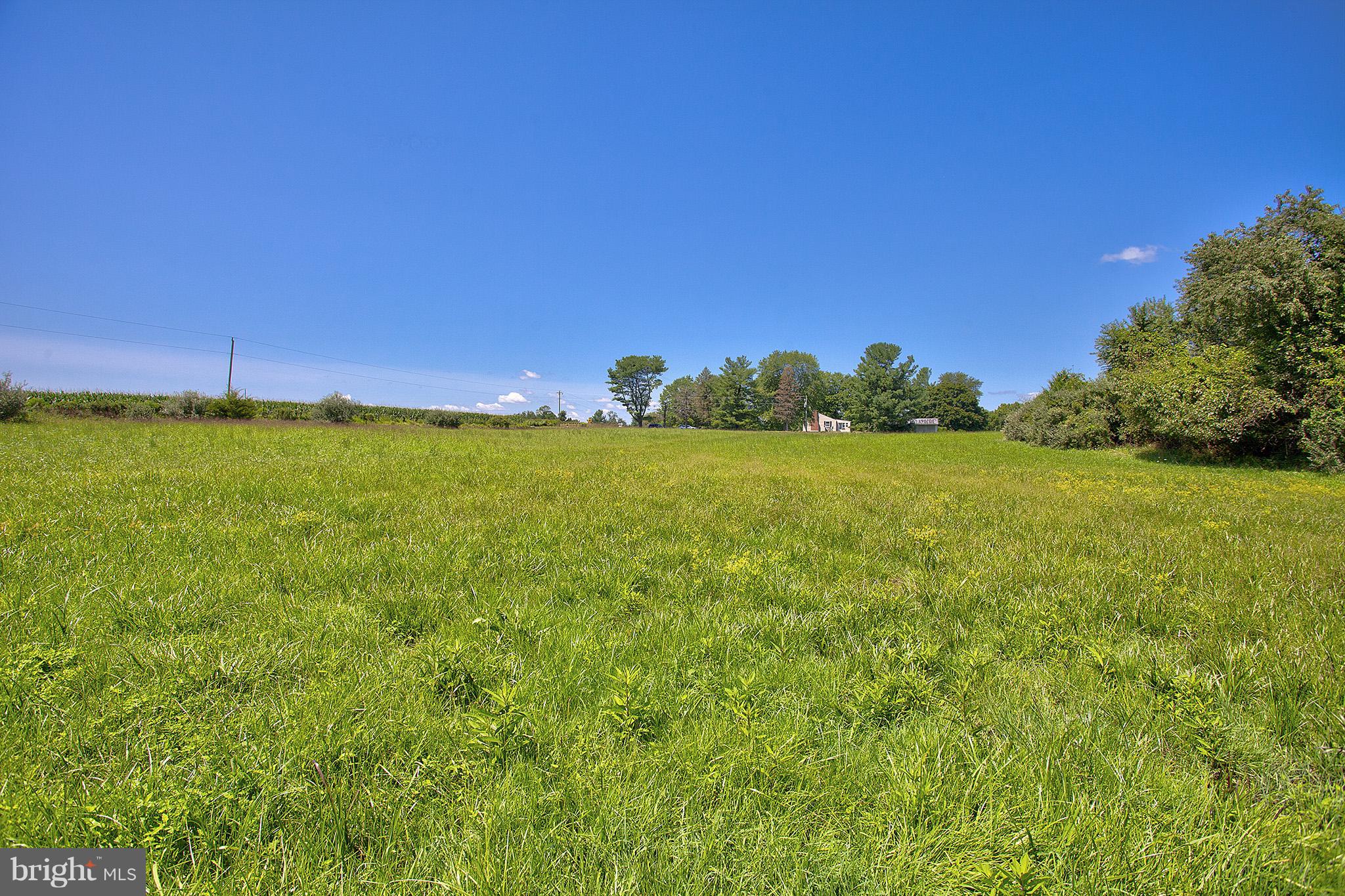 0 Milltown Road Waterford, VA 20197 - Photo 4 of 12 NW view to adjacent property from back of field