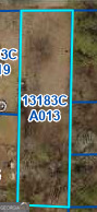 Blue line indicates lot for sale