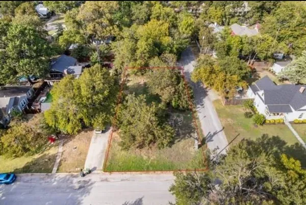 a view of a yard with plants and large trees
