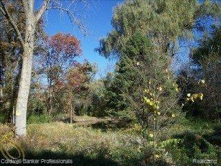 V/l Mt Morris Road Columbiaville, MI 48421 - Photo 6 of 11 mt morris 7