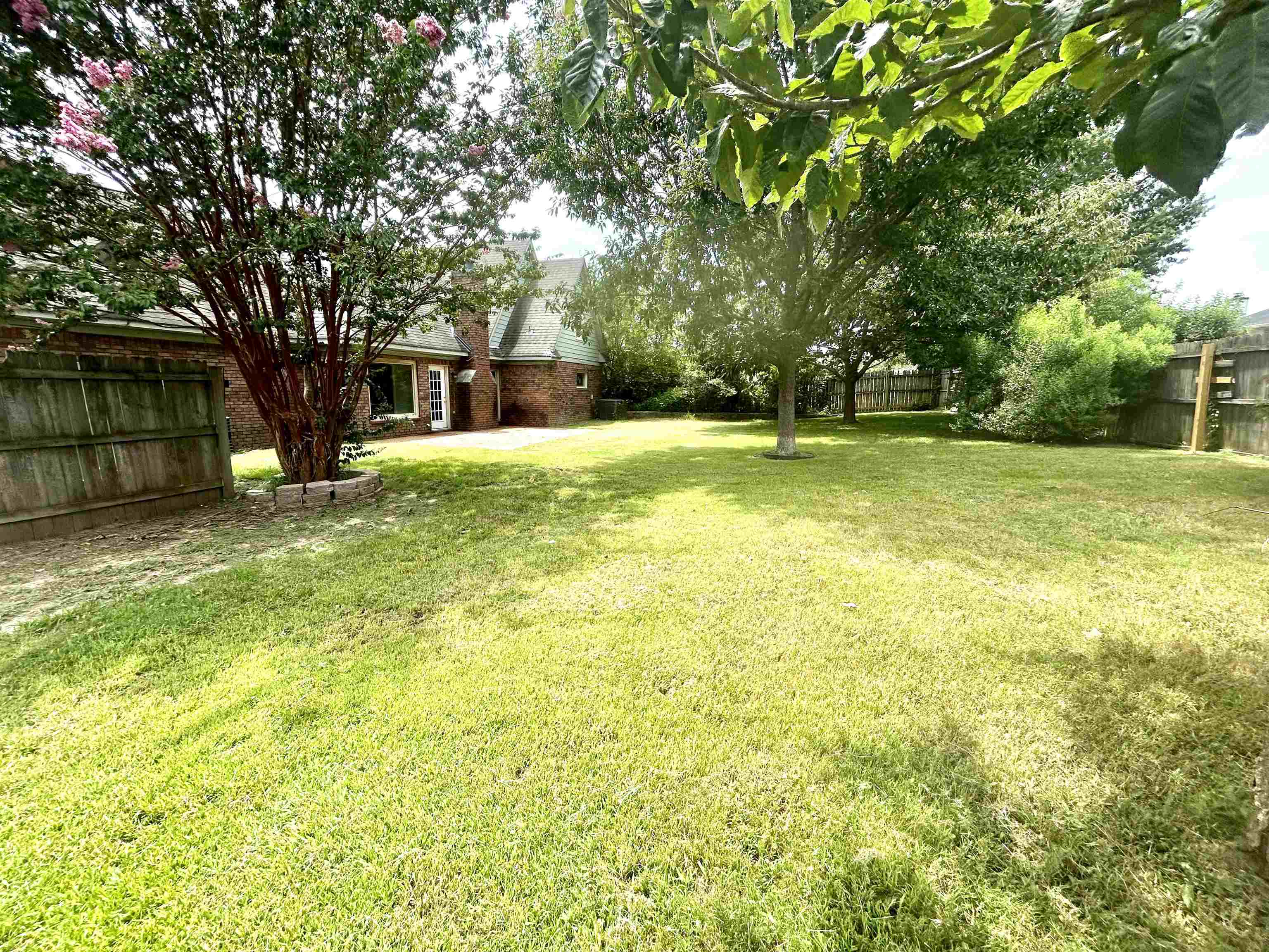 8528 Trinity Road Memphis, TN 38018 - Photo 20 of 21 a view of a yard with a tree