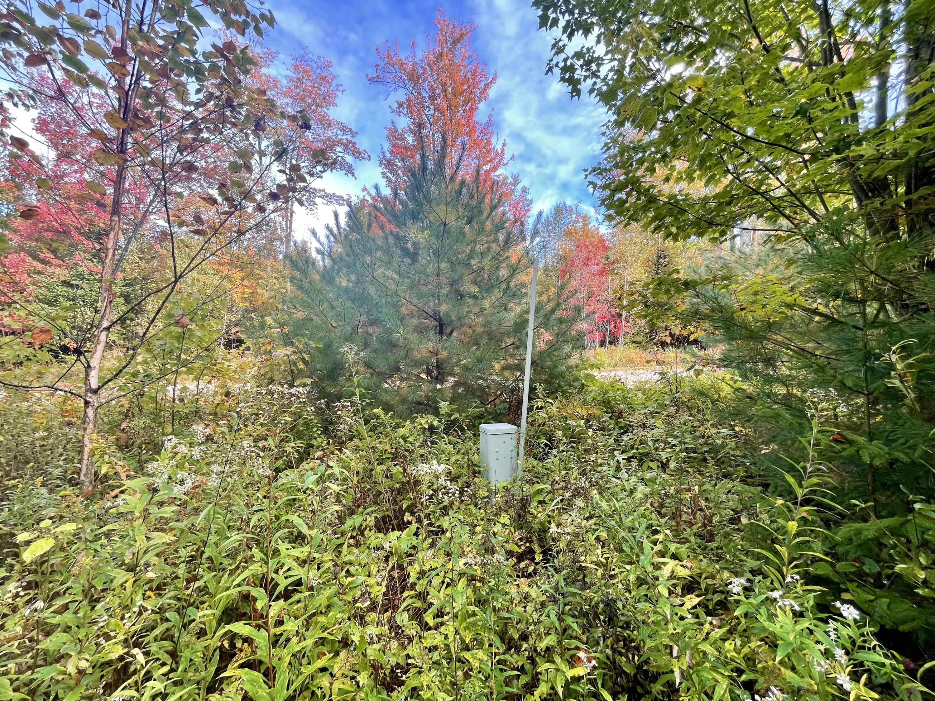 Lot 46 Heights Road Stockton Springs, ME 04981 - Photo 3 of 5 fullsizeoutput_679