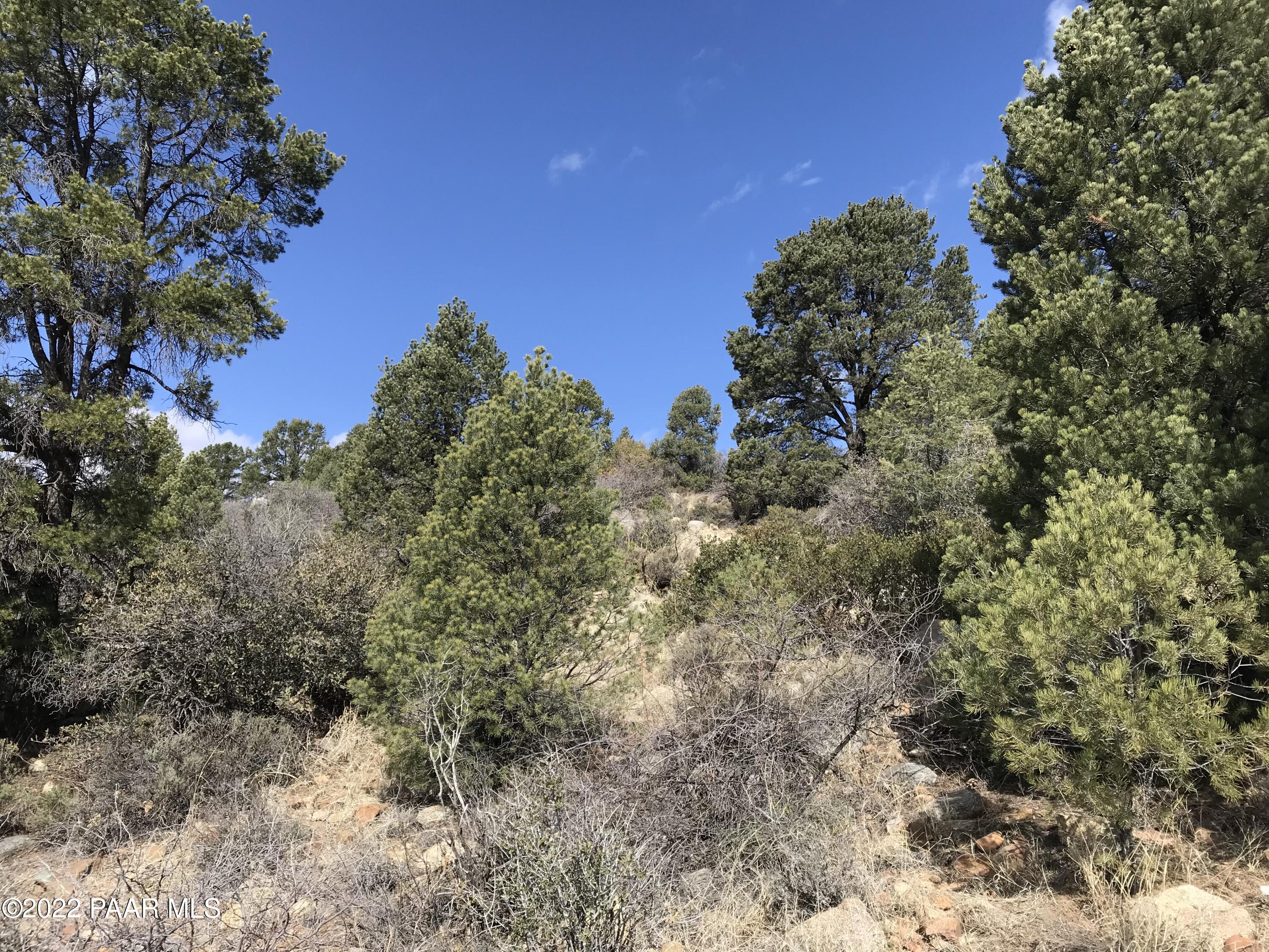 17875 Model Creek Road Peeples Valley, AZ 86332 - Photo 11 of 64 50203C08-B6EF-40F9-AE81-1079E51DDD28
