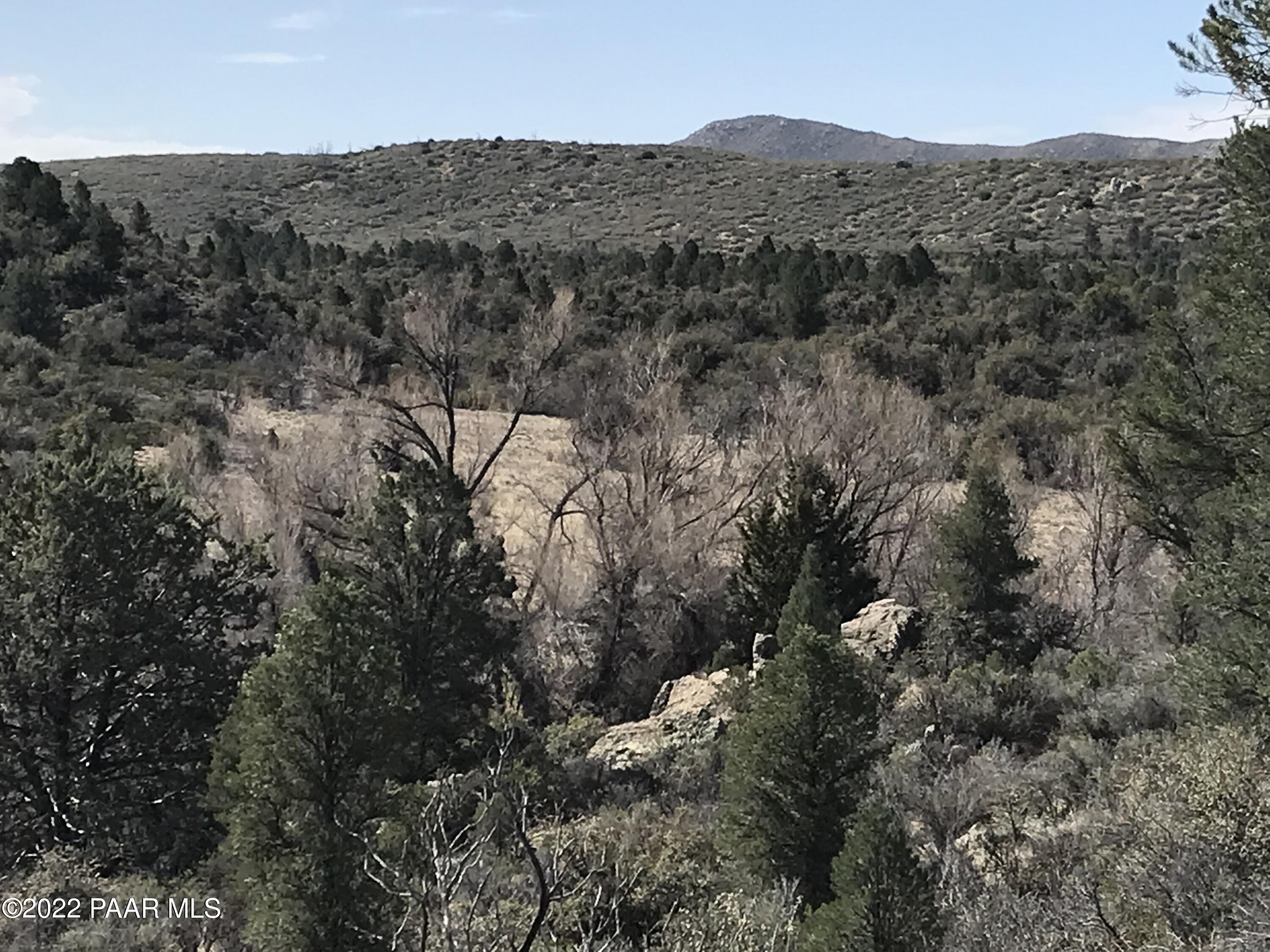 17875 Model Creek Road Peeples Valley, AZ 86332 - Photo 14 of 64 331C17E0-8391-47C2-B9C0-0CD1243D0179