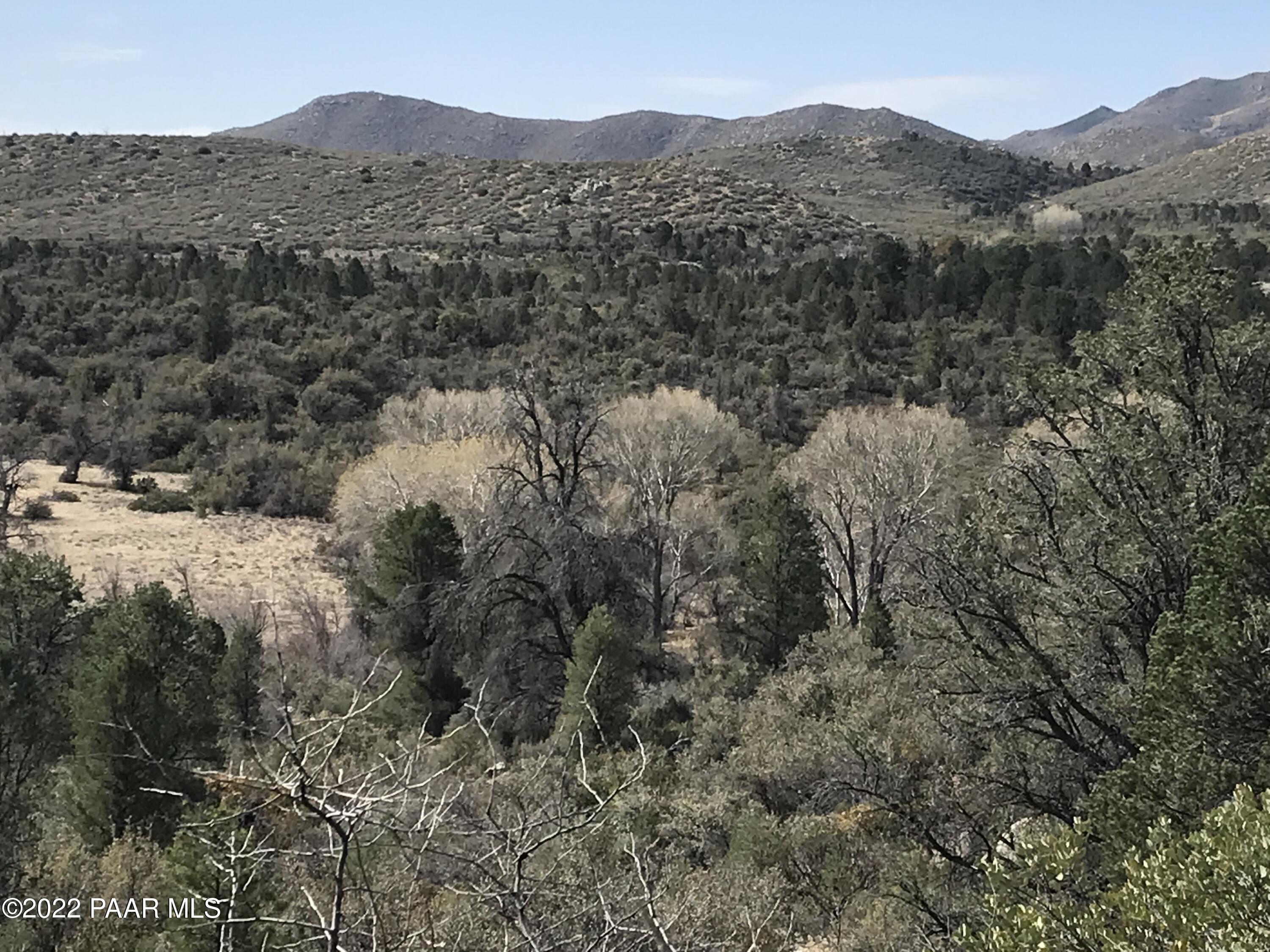 17875 Model Creek Road Peeples Valley, AZ 86332 - Photo 17 of 64 E66AC0FC-8D1C-47C8-ADDB-9B96CE228493