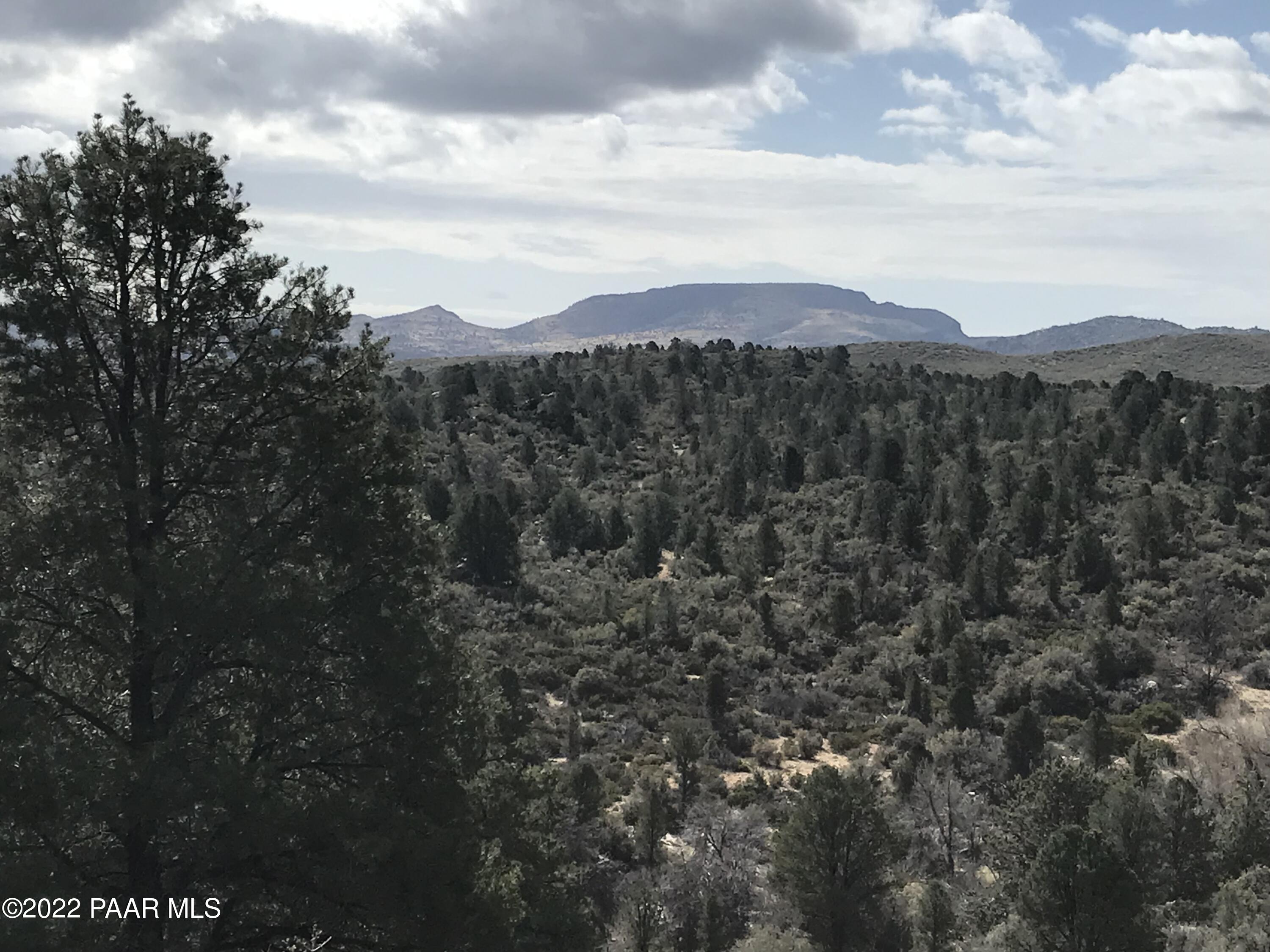 17875 Model Creek Road Peeples Valley, AZ 86332 - Photo 23 of 64 D6B2777D-8CEC-42AC-8CE5-308199C83E50