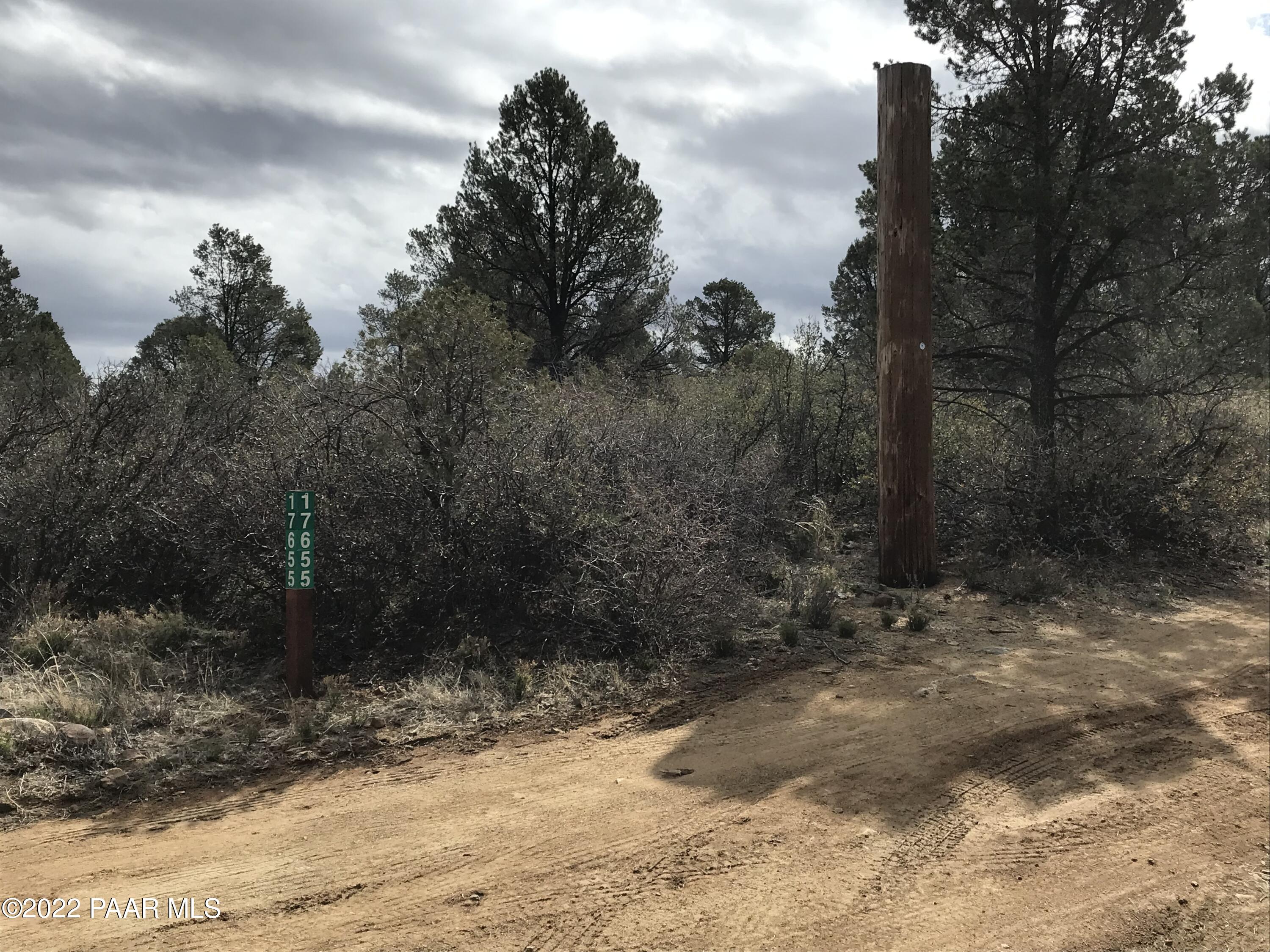 17875 Model Creek Road Peeples Valley, AZ 86332 - Photo 26 of 64 CC35D39B-4FFA-4612-BBB1-BEB4DE5FF7F4