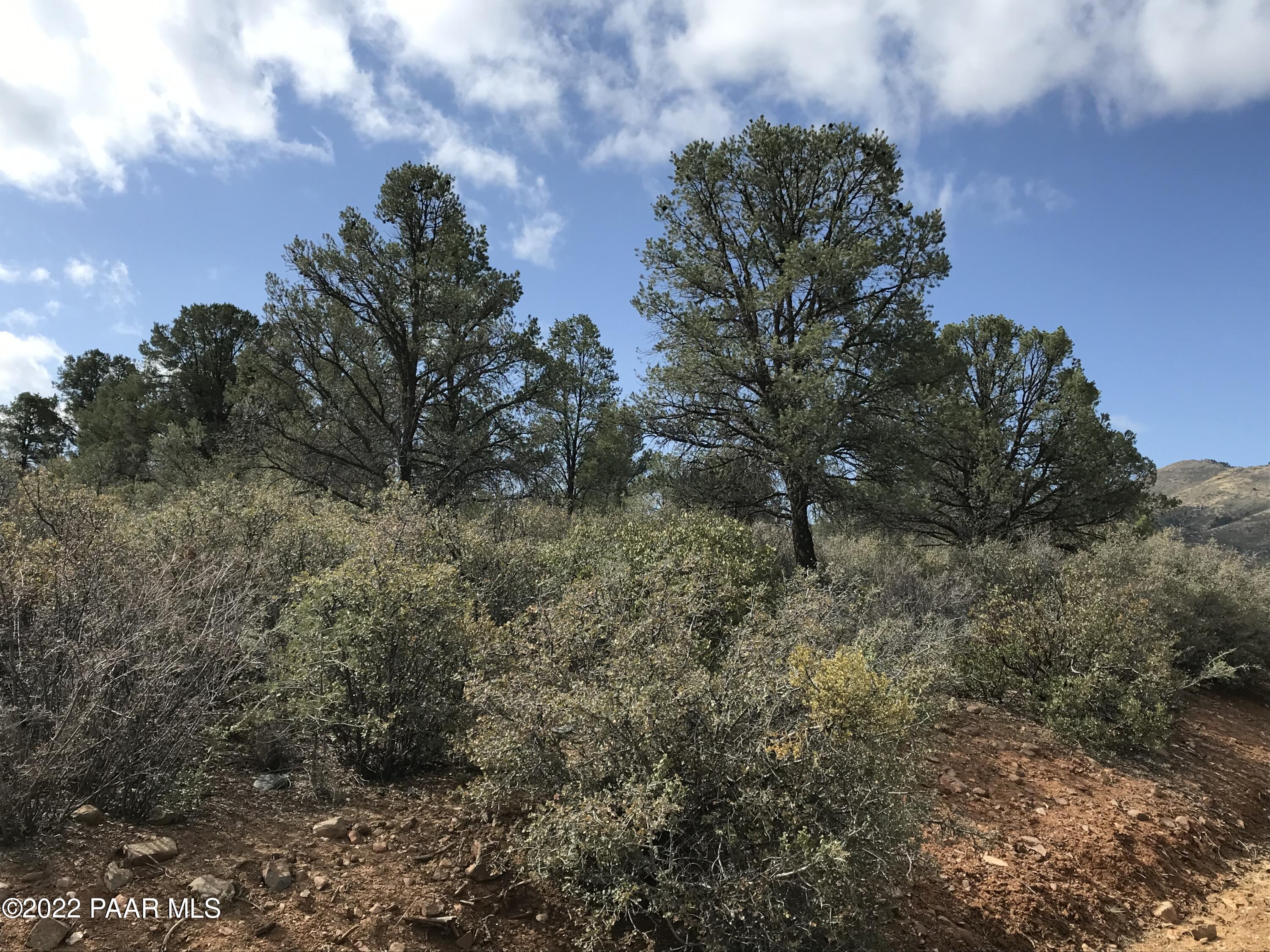 17875 Model Creek Road Peeples Valley, AZ 86332 - Photo 28 of 64 D886FAFD-F0A3-48CA-93E7-D6A188D7FD12
