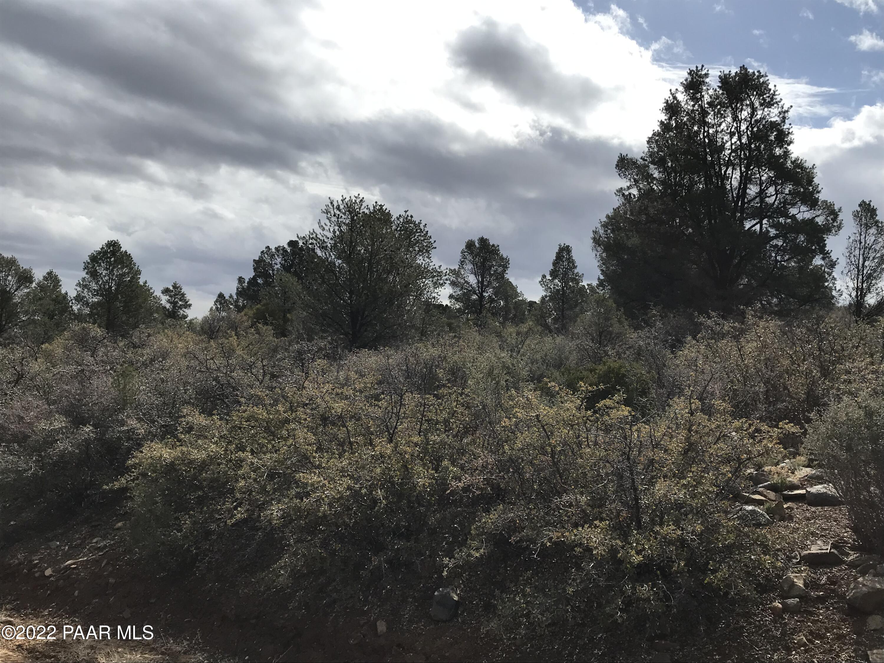 17875 Model Creek Road Peeples Valley, AZ 86332 - Photo 30 of 64 E09731E0-1B6E-4704-B062-D8CF0D65B4D6