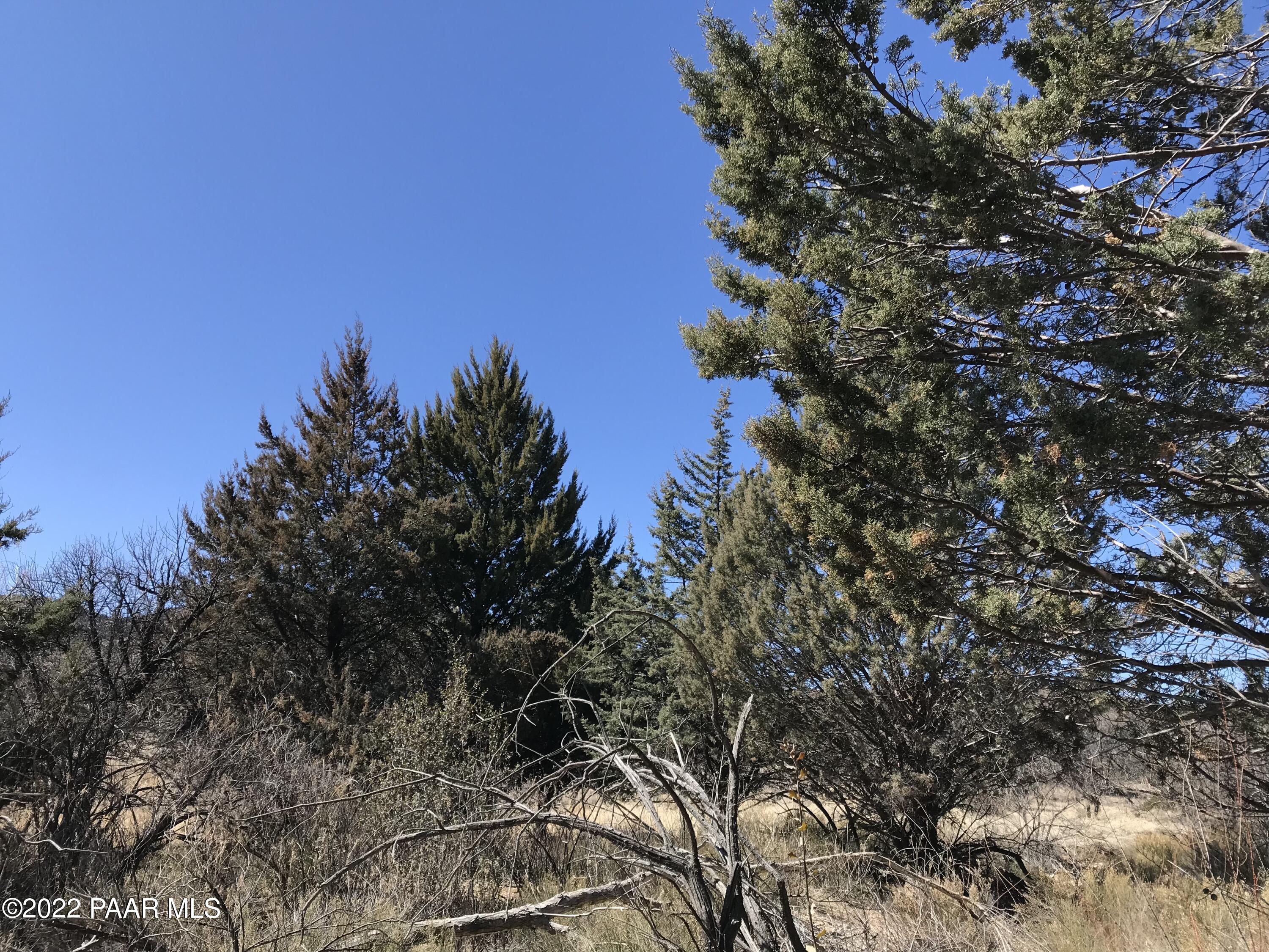 17875 Model Creek Road Peeples Valley, AZ 86332 - Photo 38 of 64 037F1226-8ACF-45D6-9B92-82E568E64CC4