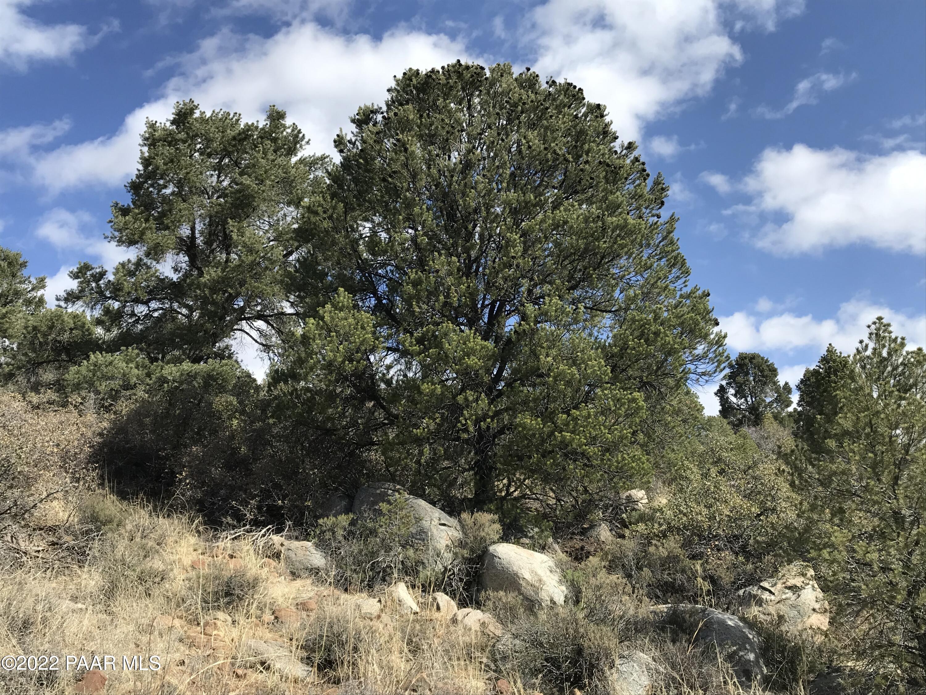 17875 Model Creek Road Peeples Valley, AZ 86332 - Photo 4 of 64 182B4ABC-7E30-4F1F-B624-E0B267E621FB