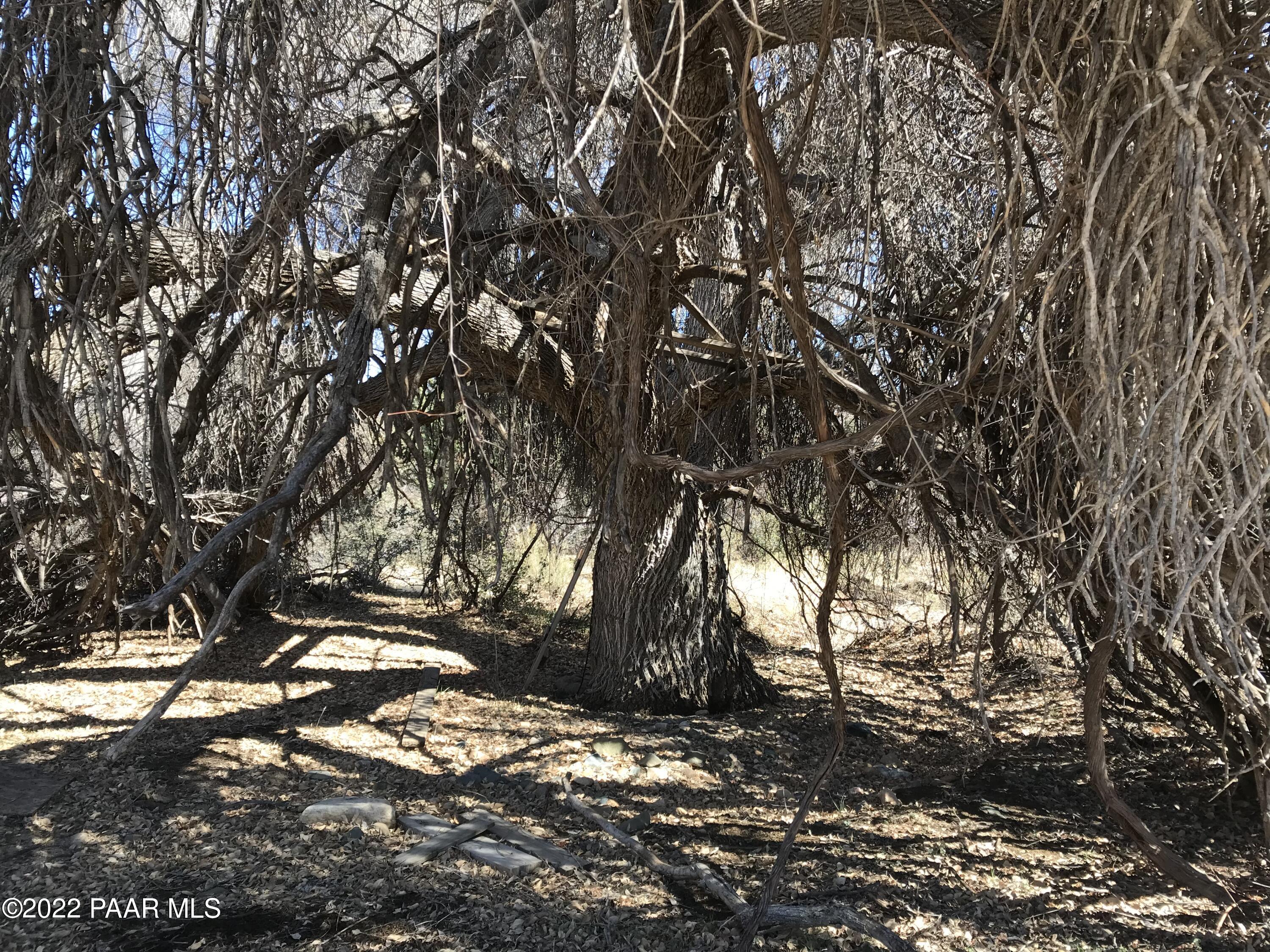 17875 Model Creek Road Peeples Valley, AZ 86332 - Photo 41 of 64 40275957-AA23-4E3F-B6ED-527A34ED01ED