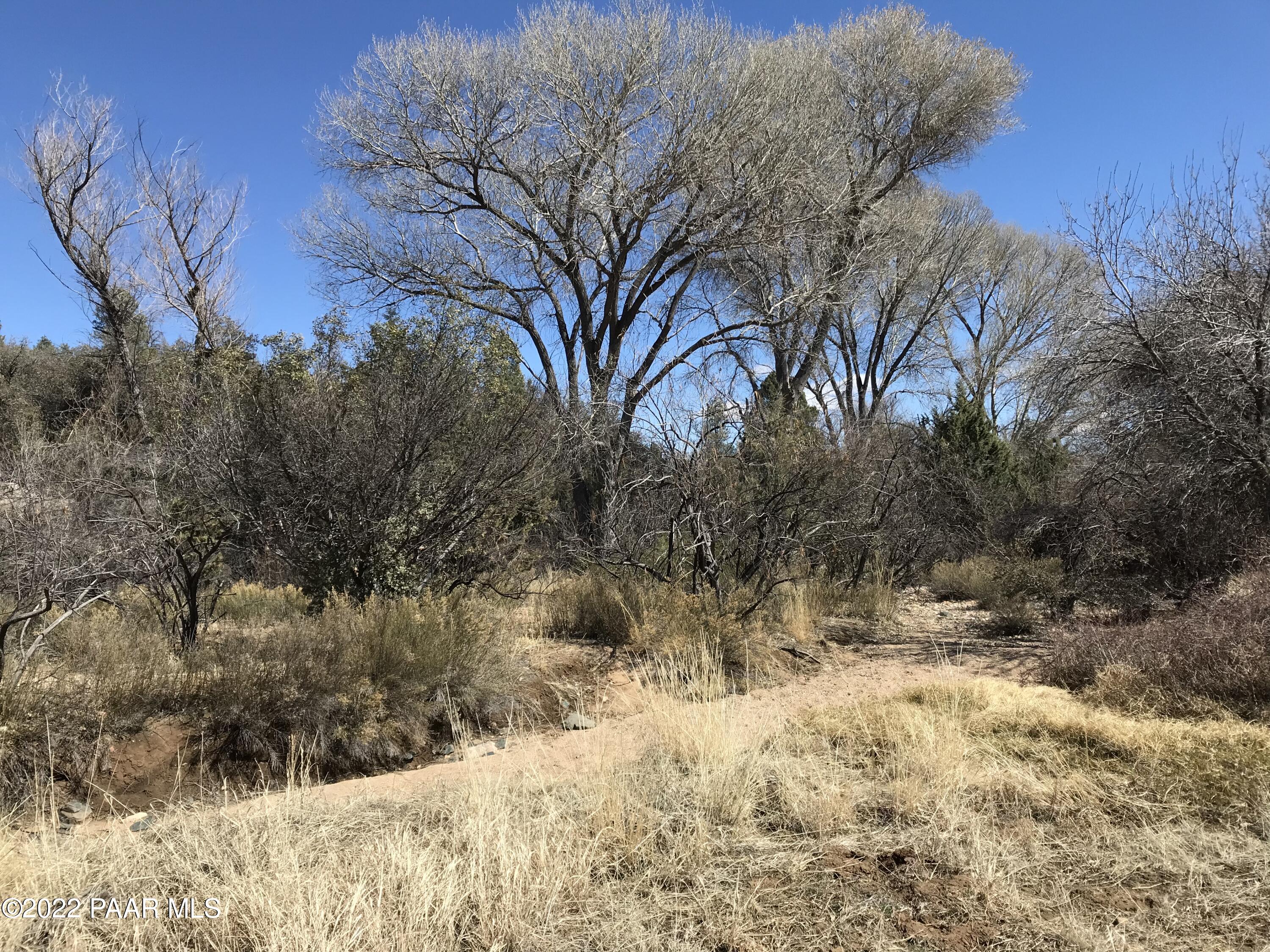 17875 Model Creek Road Peeples Valley, AZ 86332 - Photo 42 of 64 0EBD6408-C61D-4FD6-9267-2C0069B744CB
