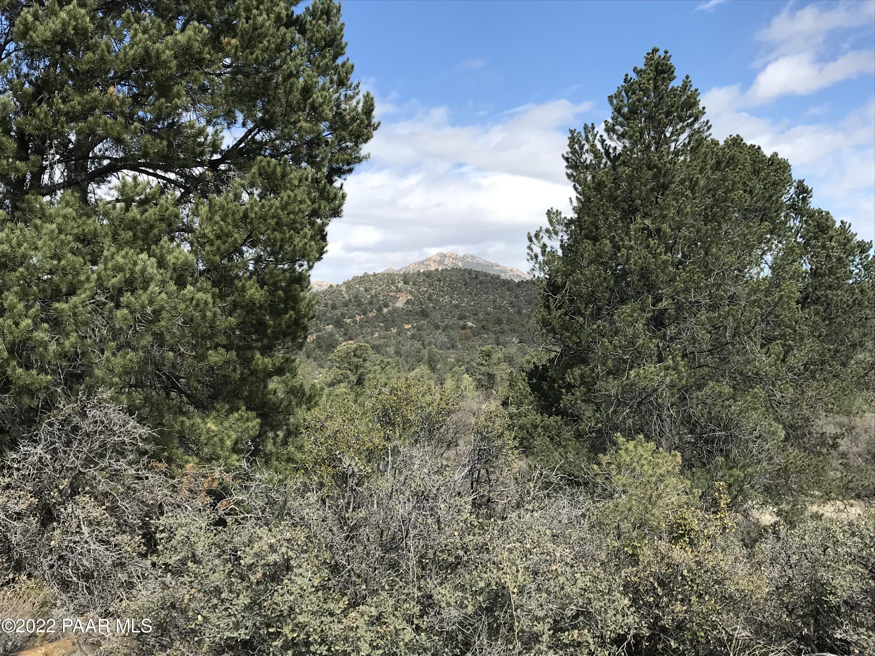 17875 Model Creek Road Peeples Valley, AZ 86332 - Photo 8 of 64 A931290A-8380-4400-82F3-601741214D2B