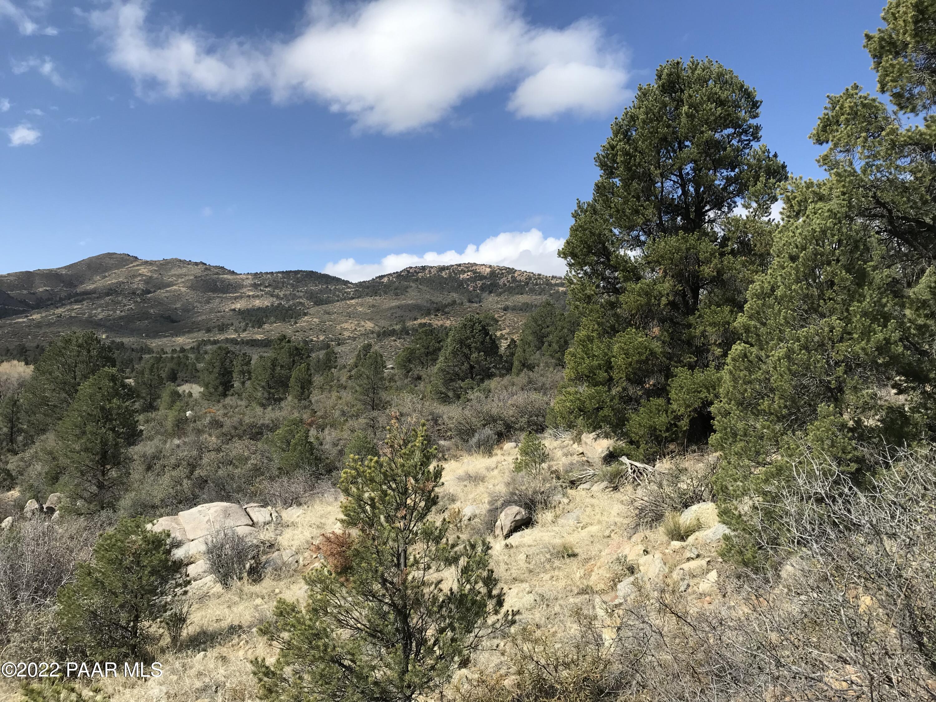 17875 Model Creek Road Peeples Valley, AZ 86332 - Photo 10 of 64 0EDD3C86-0052-40FD-AA1E-E9EB0A899342