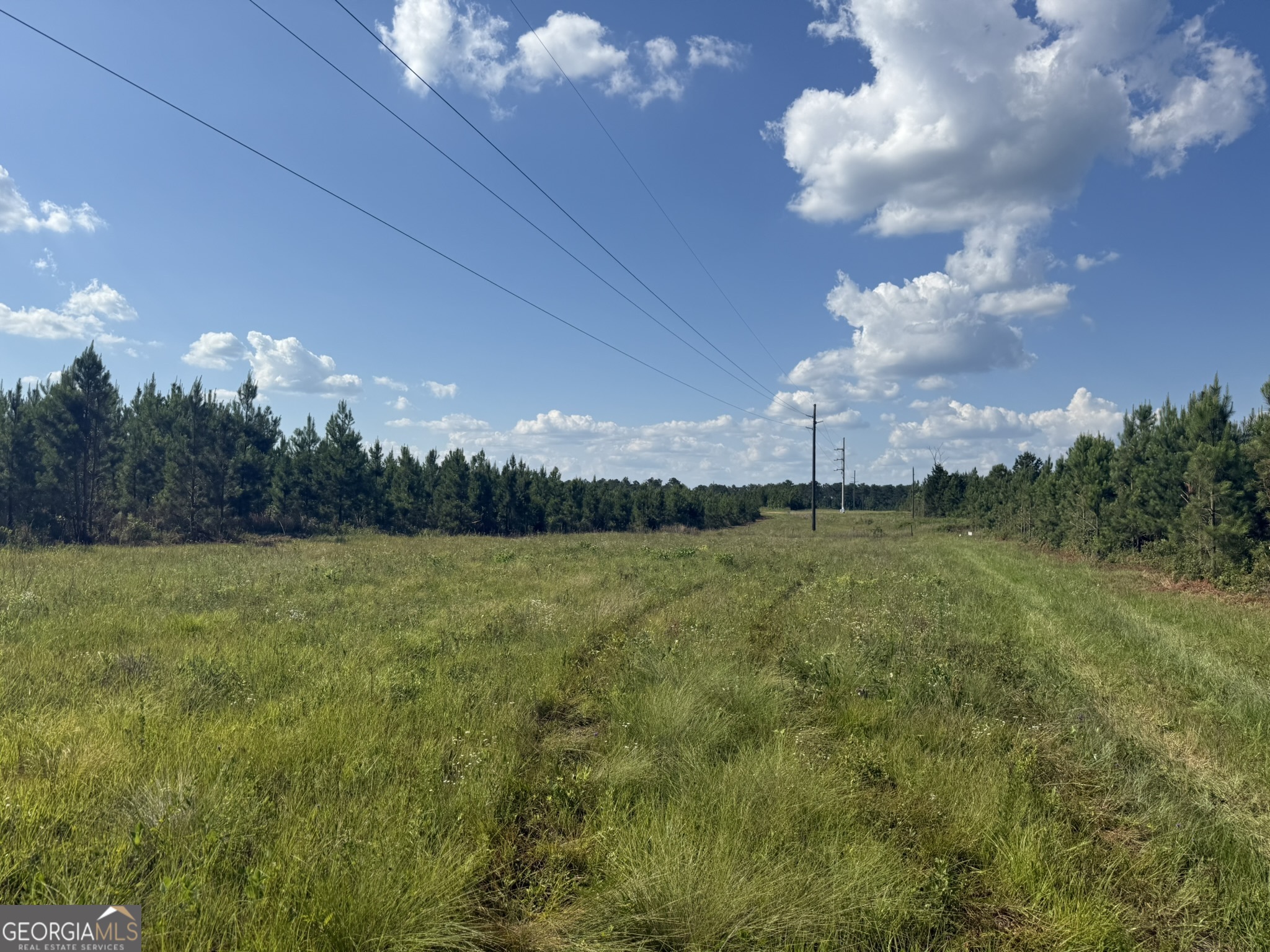 9 George Milling Road Cuthbert, GA 39840 - Photo 7 of 11