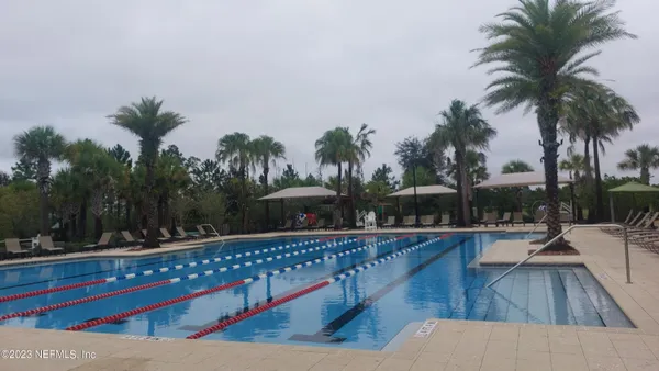 a view of a park with palm trees