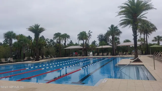 a view of a park with palm trees