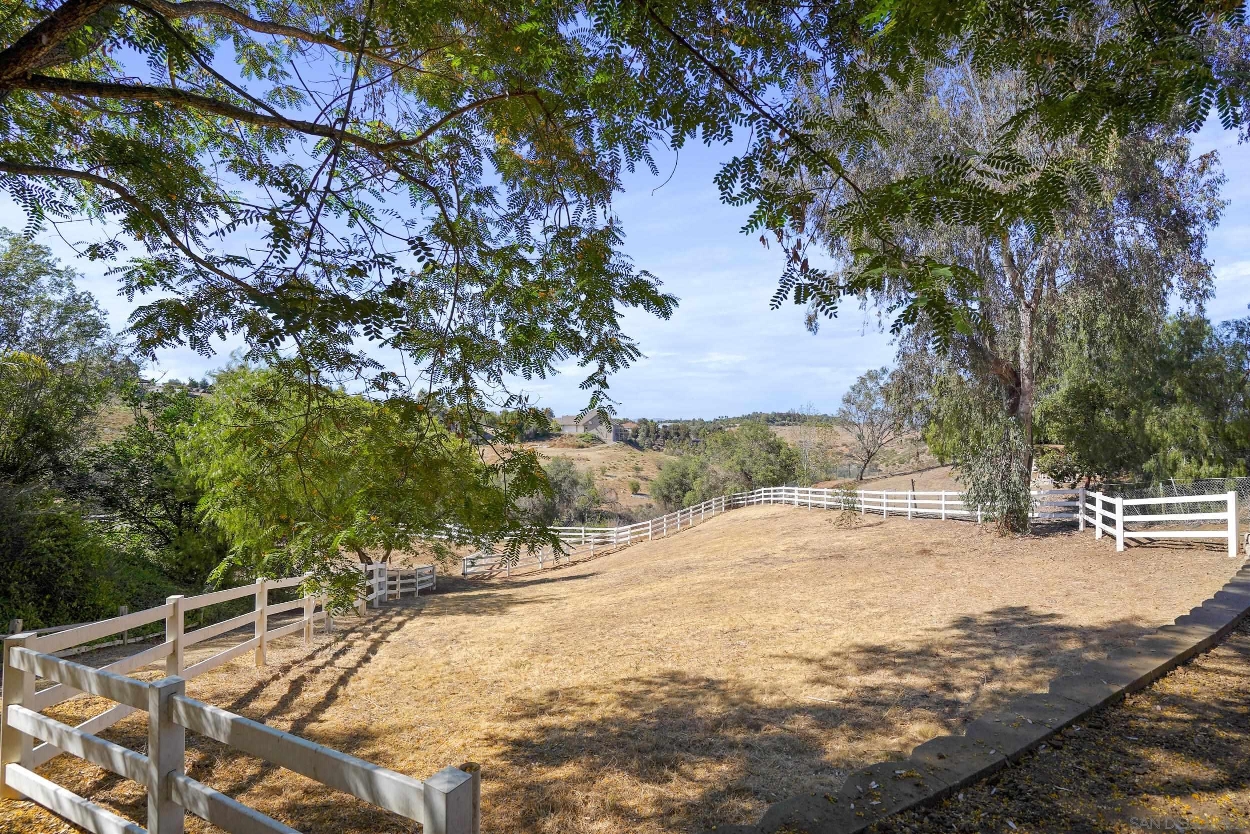 5352 Camino Jasmine Bonsall, CA 92003 - Photo 39 of 68 a view of a yard with plants and trees