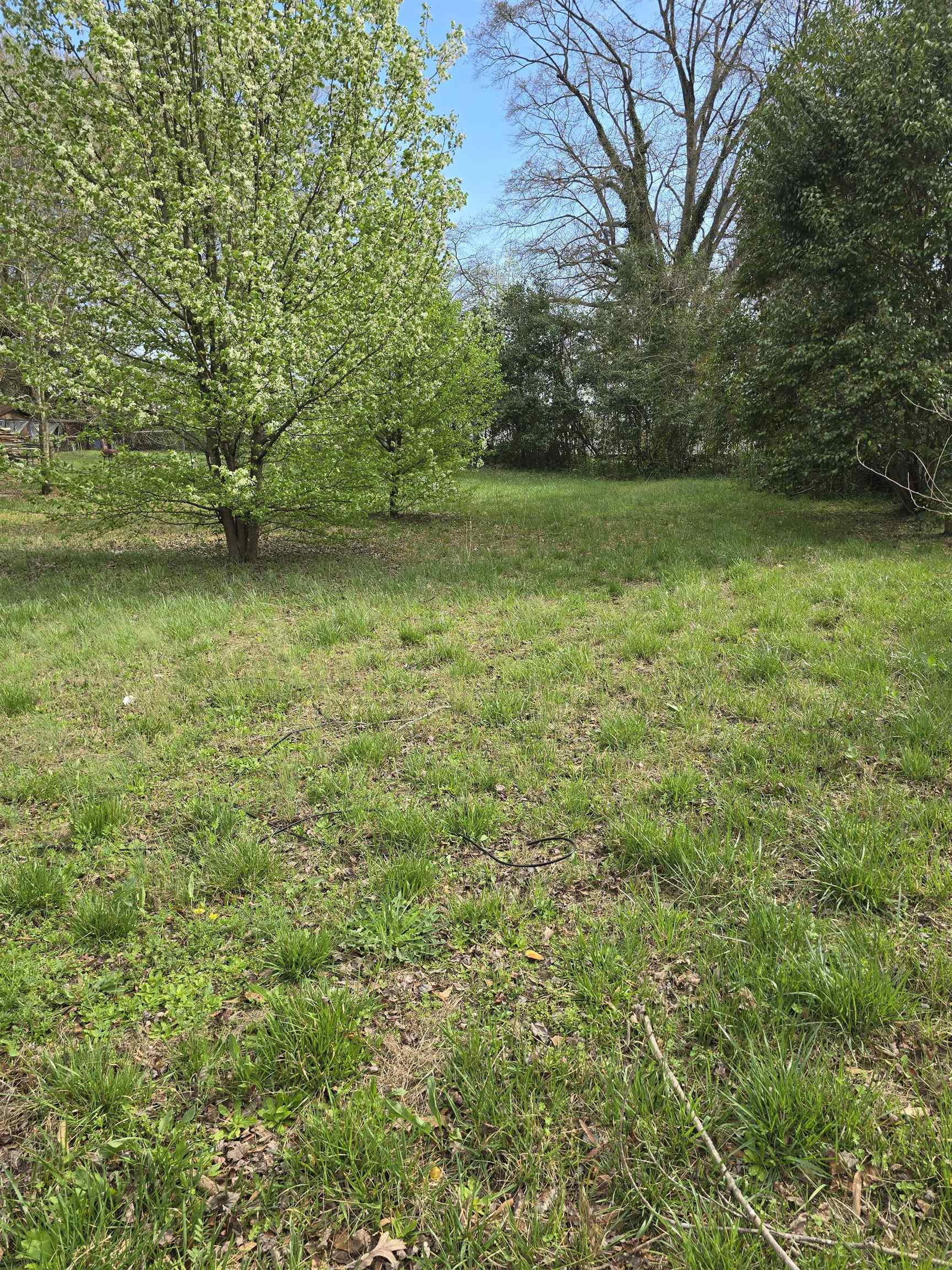 304 Elm Street Gaffney, SC 29340 - Photo 6 of 7