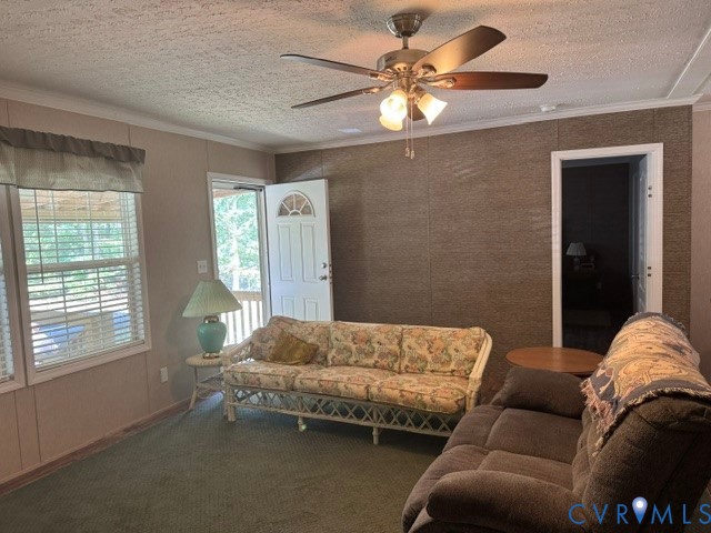 1927 Five Forks Road Pamplin, VA 23958 - Photo 32 of 42 Living area featuring green carpet flooring, textu