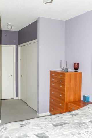 515 Main Street, Unit 809 Evanston, IL 60202 - Photo 6 of 12