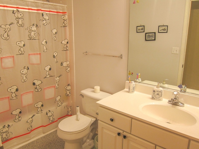 515 Main Street, Unit 809 Evanston, IL 60202 - Photo 8 of 12