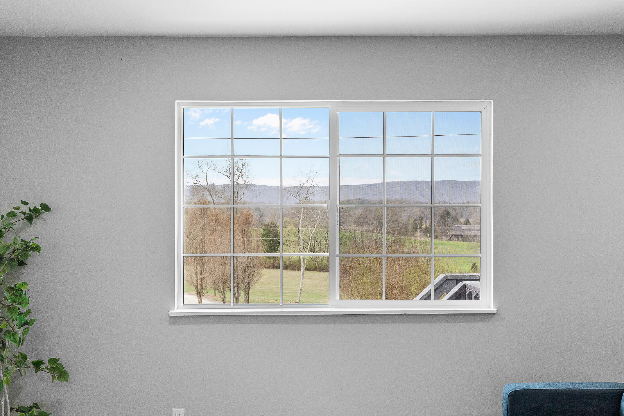 2645 New Lake Road Spring City, TN 37381 - Photo 8 of 30 8