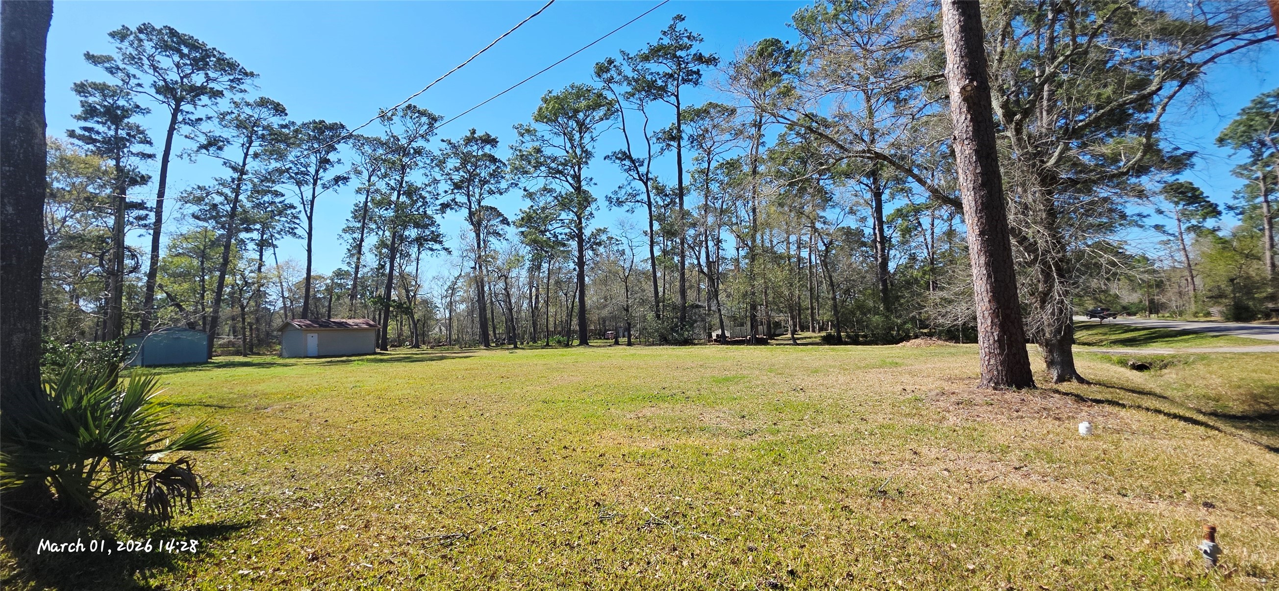 3506 Yupon Street Dickinson, TX 77539 - Photo 3 of 18