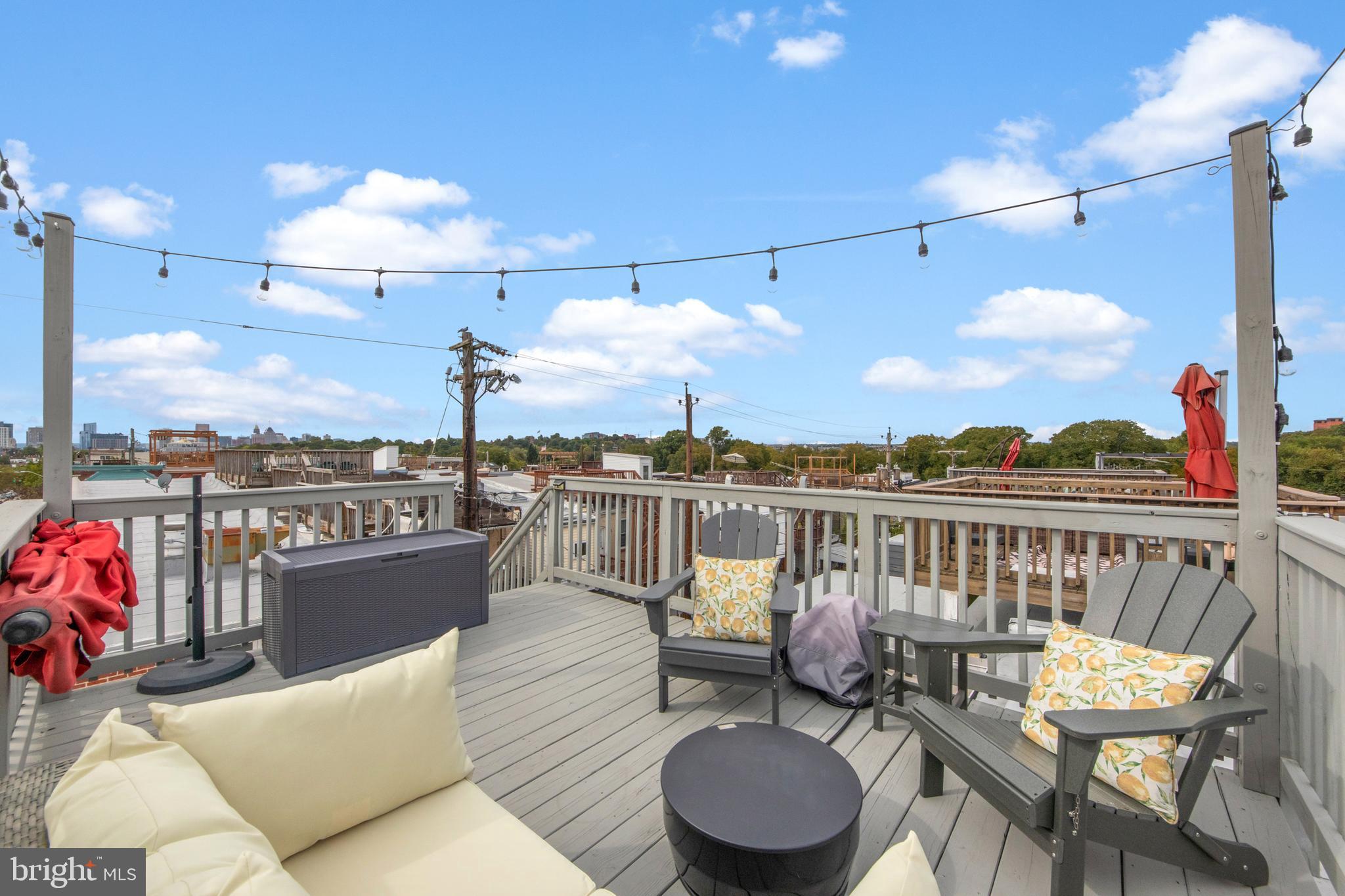 534 South Decker Avenue Baltimore, MD 21224 - Photo 43 of 55 Rooftop deck