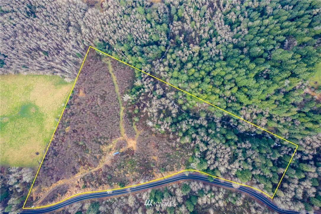 0 Green Mountain Road Mossyrock, WA 98564 - Photo 1 of 33 Gallery Image 1
