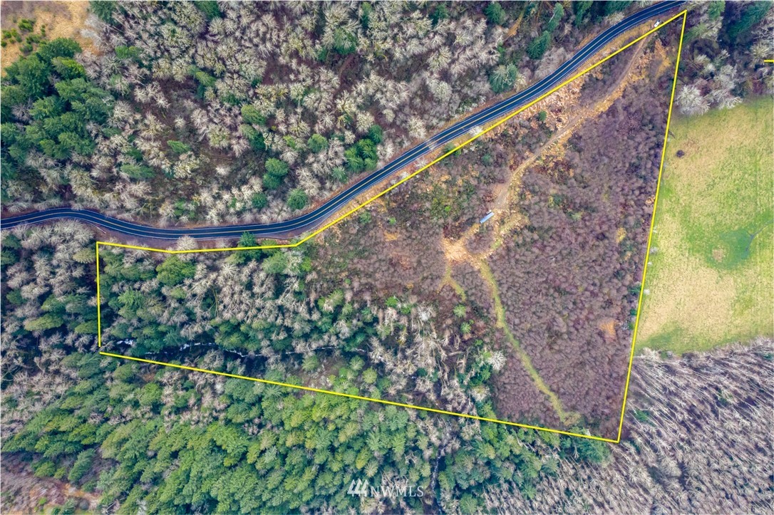 0 Green Mountain Road Mossyrock, WA 98564 - Photo 2 of 33 Gallery Image 2