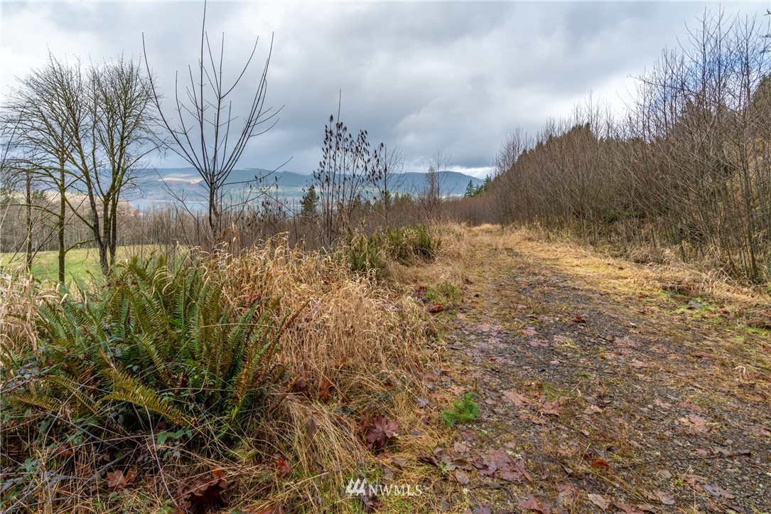 0 Green Mountain Road Mossyrock, WA 98564 - Photo 11 of 33 Gallery Image 11
