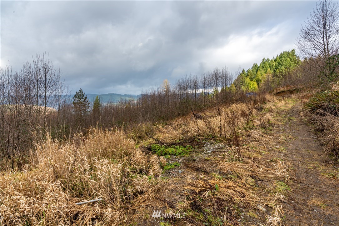 0 Green Mountain Road Mossyrock, WA 98564 - Photo 12 of 33 Gallery Image 12