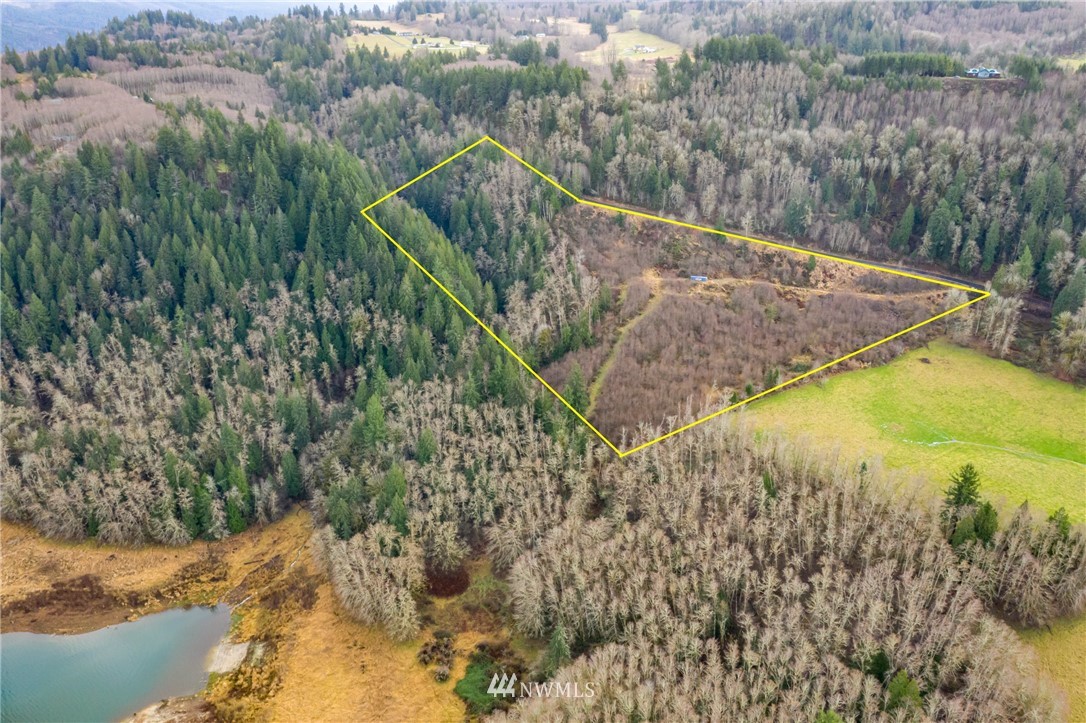 0 Green Mountain Road Mossyrock, WA 98564 - Photo 3 of 33 Gallery Image 3
