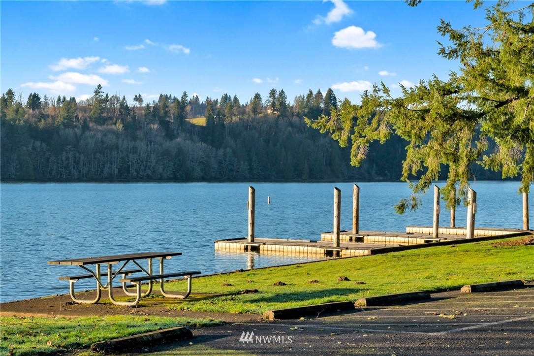 0 Green Mountain Road Mossyrock, WA 98564 - Photo 21 of 33 Gallery Image 21